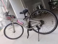 二手新加坡品牌自行车