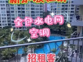 巴西力