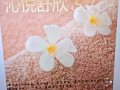 全身养生手法 经络穴位 指压热油spa
