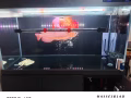 红龙鱼