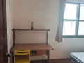 公寓单人间出租，只限女生