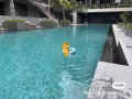 美世界