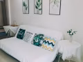 Ang Mo kio 主人房出租可住1-2位女生，随时入住，靠近地铁站，交通购物餐饮方便