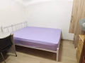 淡濱尼普通房出租 $800