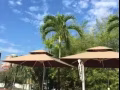 （可短租）东海岸复式公寓主人房出租，近维多利亚初院，淡马锡初院，Siglap Center, 东海岸公园