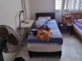 湖畔地铁站附近搭房