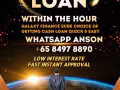 Monthly Repayments 每月还款 Business Loan 商业贷款 Personal Loan 个人贷