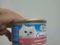 猫罐头转让便宜