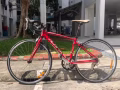 转让闲置公路自行车 $210