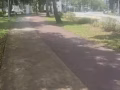 补习数学，化学，物理