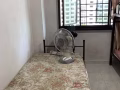 一人床女生