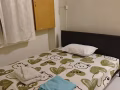 榜鵝主人房出租