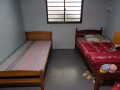 麦波申有女生床位出租（2个人）