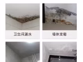 别让漏水破坏你的生活，新加坡专业漏水维修来啦！