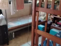 马西领10座3个女床位招租！