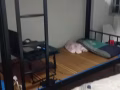 老文礼 男搭房四人间 下铺床位 出租随时入住近惹蓝巴哈。金陵。武林大型停车场。