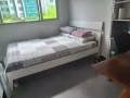 三巴旺普通房女女夫妻
