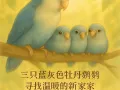 🐦【来自鸟妈妈的一封信】三只宝贝找温暖的新家