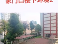 金文泰608厅隔间独立床位出租$480/月