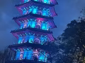 中專畢業山東青州職業技術學院 人在中國 求一個崗位（中介勿擾🙏）