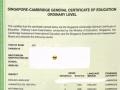 NTU學長一對一新加坡O Level補習！