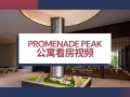 【PROMENADE PEAK 官方指定销售团队】63层云端府邸，大世界之上，俯瞰万象繁华。