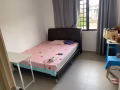 近实龙岗温馨普通房出租