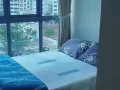 The Canopy