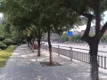 家庭烫衣，擦玻璃打扫