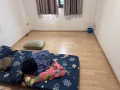 盛港招男搭房