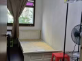 woodlands 新装修，房间出租