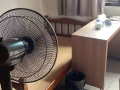 普通房出租，女生，2人1间，可报地址