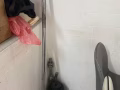 一套哑铃加杠铃40送货上门加10快