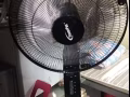 价格美丽，需要的联系我
