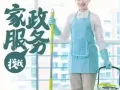 专业家庭打扫，退房大扫除，洗玻璃，