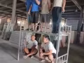 新加坡现货厂家大量批发全新上下铺双层床铁床租屋床