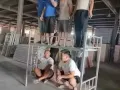 新加坡现货厂家大量批发全新上下铺双层床铁床租屋床