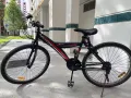 出售自用山地自行车 20