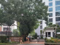 Serangoon 公寓普通房