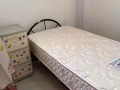 淡滨尼男搭房和女搭房