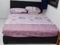 先驱地铁站附近有主人房日租