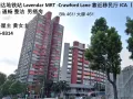 劳明达地铁站 Lavendar MRT 靠近移民厅 ICA【男搭房】