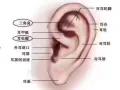 专业采耳 挖耳朵 可以治疗中耳炎