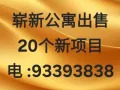 崭新公寓出售 1+1/2+1/3+1/4+1房 全岛 电:93393838