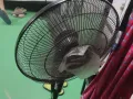基本上全新风扇还没用多久，蔡楚港自取