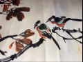著名画家江寒汀长轴