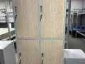 Dormitory wardrobe宿舍衣柜（员工、学生）