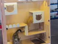 宠物🏠