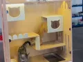 宠物🏠