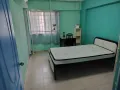 Tampines 双人房出租 人少环境舒服 4月初入住